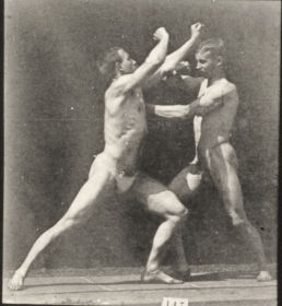 Plate 520 A C: Wrestling. D: Sparring without gloves — figure reference
